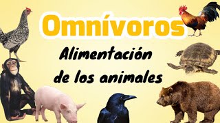 Animales omnívoros [upl. by Hiett]