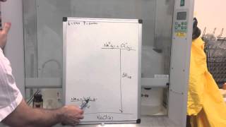 Lattice Enthalpy 1 [upl. by Renner]