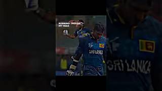 Sangakkara’s last international innings 🥲cricket sangakkara srilanka shorts fypシ゚viral [upl. by Ariajay]