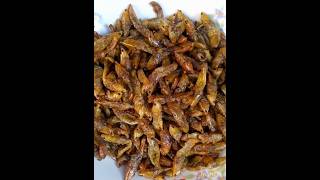 Eating Very Yummy forverity Ugandan🇺🇬 Ensene in Africa 🌍 Grasshoppers 🦗foodblogger [upl. by Chloris]