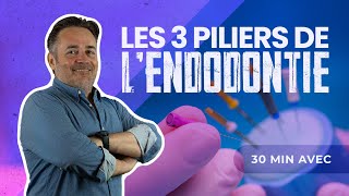 Les 3 piliers en ENDODONTIE 🦷 [upl. by Ause779]