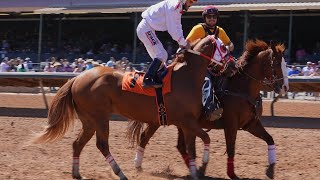 RUIDOSO FUTURITY TRIAL WEEKEND [upl. by Aushoj395]