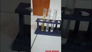 Action of salivary amylase on starch  Pravin Sirs Biology [upl. by Aihsenyt]