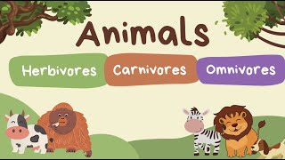 Animals  herbivore carnivore and omnivores quiz [upl. by Russian625]