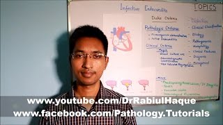 Infective Endocarditis Part 1 HD [upl. by Arihsay]