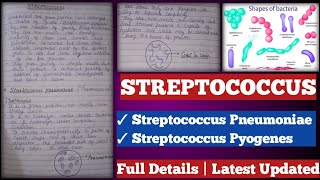 Streptococcus  streptococcus Pyogenes  streptococcus pneumoniae [upl. by Ofelia]