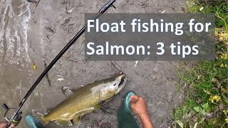 Salmon fishing in Ontario creeks  3 tips  3 fish [upl. by Aremat660]