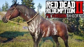 New Warped Brindle Arabian amp More New Horses In Red Dead Redemption 2 [upl. by Felder]