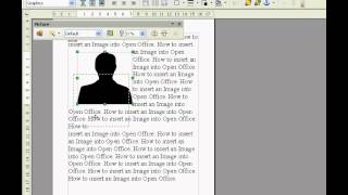 Open Office How To Insert An Image [upl. by Orabla857]