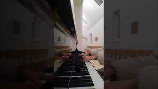 RSchumann  Aufschwung piano klassik music schumann fantasiestücke pianomusic clasicklavier [upl. by Eiramanig]