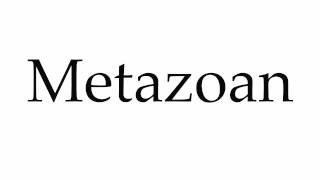 How to Pronounce Metazoan [upl. by Ynnij]