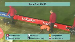 Crayford Greyhounds Races on 2nd January 2024 [upl. by Vano]