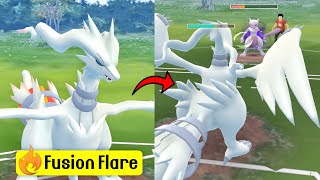 NEW Signature Move Fusion Flare RESHIRAM in Master League Pokemon Go [upl. by Yekcaj446]