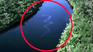 The Biggest Snake In The World a 75 foot anaconda 3982118 Views [upl. by Hare]