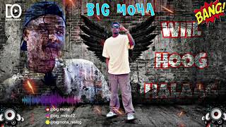 BIG MOHA  WIIL HOOG HALAAG  OFFICIAL AUDIO [upl. by Oileve]