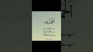 Alhamdulillah best Islamic poetry viralvideo urdusadpoetryurdulovers poetry [upl. by Leoine]