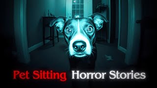 3 Really Scary TRUE Pet Sitting Horror Stories [upl. by Jamill950]