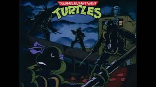 Teenage mutant ninja turtles theme song 1987 [upl. by Germin]