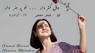 Wayal Kamtar Waya Khu pa Hunar waya Song By Fayaz Kheshki Poetry Ghani Khan baba Slowed Reverb💗 [upl. by Rowan]