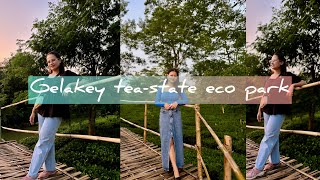 gelakey eco park assamesevlog assamesegirlyoutuber trendingvideo ecopark travelvlog [upl. by Nodnarbal]