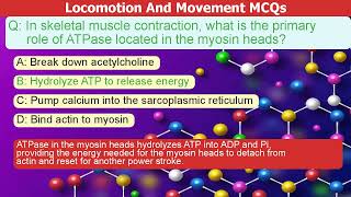 Locomotion amp Movement Master MCQs for Biology Exam Prep 🧠💪 Biology MCQ Human Physiology [upl. by Heurlin]