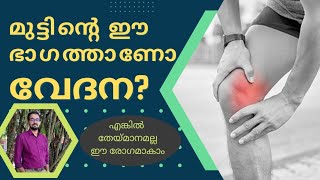 156  കാൽ മുട്ടിന്റെ അകവശത്തെ വേദന  Pes anserine bursitis  Plica syndrome  home remedy  Ayurveda [upl. by Weitman129]