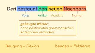 Flexion – Deklination und Konjugation einfach erklärt  sofatutor [upl. by Hagan]