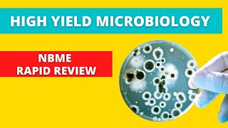 High Yield USMLE Microbiology Review [upl. by Yvor729]