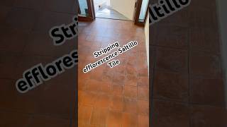 Removing Efflorescence Saltillo Tiles Mexican Tiles Terracotta Tiles Sarasota FLsaltillotile [upl. by Al]