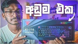 Jedel Mechanical Keyboard Unboxing and Quick review [upl. by Eelnyl961]