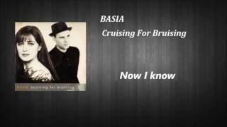 BASIA  Cruising For Bruising  Street Mix  Lyrics [upl. by Savick]