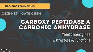 Carboxy peptidase A  carbonic anhydrase  bioinorganic Chemicos academy [upl. by Idelle]