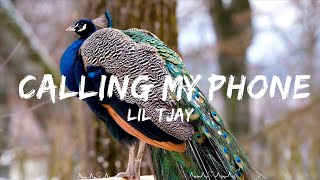 Lil Tjay  Calling My Phone feat 6LACK  Andra Music [upl. by Ande737]