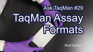 TaqMan Assay Formats Explained  Ask TaqMan 29 [upl. by Kcyrred]