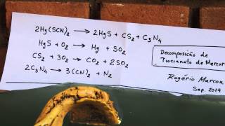 Mercury Thiocyanate decomposition  Pharaohs serpent [upl. by Ahsaenat]