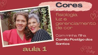 DICAS DE COMO ENTENDER AS CORES  AULA 1  FISIOLOGIA LUZ E GERENCIAMENTO DE COR [upl. by Annaitsirk976]