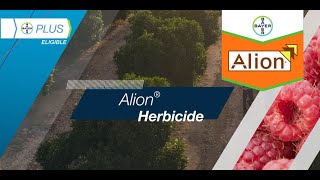 Alion® Herbicide [upl. by Esdnil326]