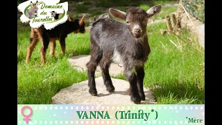 Diaporama de VANNA Trinity  2024 [upl. by Nabla]