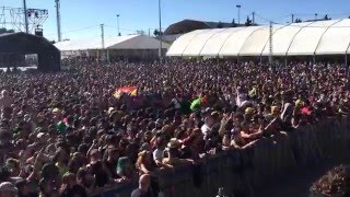 Los De Marras  Ruido Directo en Viñarock 2016 [upl. by Ailegnave]