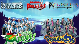 Viejitas De La Banda Para Bailar Movidas  Banda Machos Maguey Pequeños Musical Cuisillos [upl. by Augustus160]