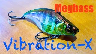 Megabass VibrationX RattleIn Review  Underwater Footage [upl. by Alake89]