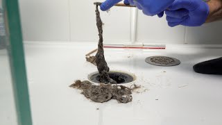 How to unclog and clean your shower drain easily [upl. by Nuahsed]