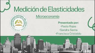 Medición de Elasticidades [upl. by Locklin]