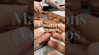 Insistir em algo por 5 anos é persistência ou loucura macaron vegano semgluten [upl. by Modeerf449]