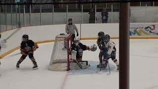 Sports hockey tournament is your favourite games at Port Credit Memorial Arena [upl. by Tychonn]