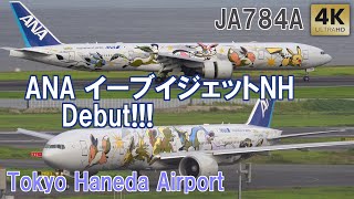 ANA イーブイジェットNH Debut JA784A Pokemon EeveeJet 羽田空港  Tokyo Haneda AirportPlane spotting B777 [upl. by Gilus]