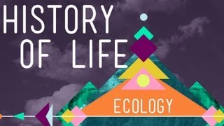 The History of Life on Earth  Crash Course Ecology 1 [upl. by Godric]