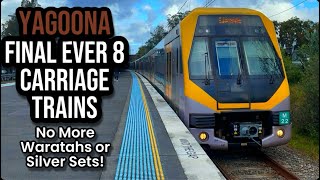 END OF 8 Car Trains and NO MORE WARATAHS For Yagoona Station [upl. by Holbrook]