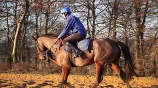 Colin Tizzard  quotCue Card is right on his gamequot [upl. by Dnalro635]