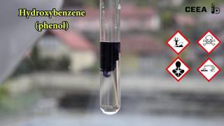 THE FERRIC CHLORIDE TEST FOR PHENOLS [upl. by Anirehtac]